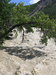 Чуя - могучая река